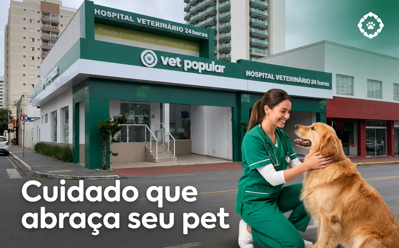 Veterinária examinando cachorro em hospital moderno da Vet Popular Vila Carrão